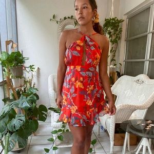 Selfie Leslie Dress